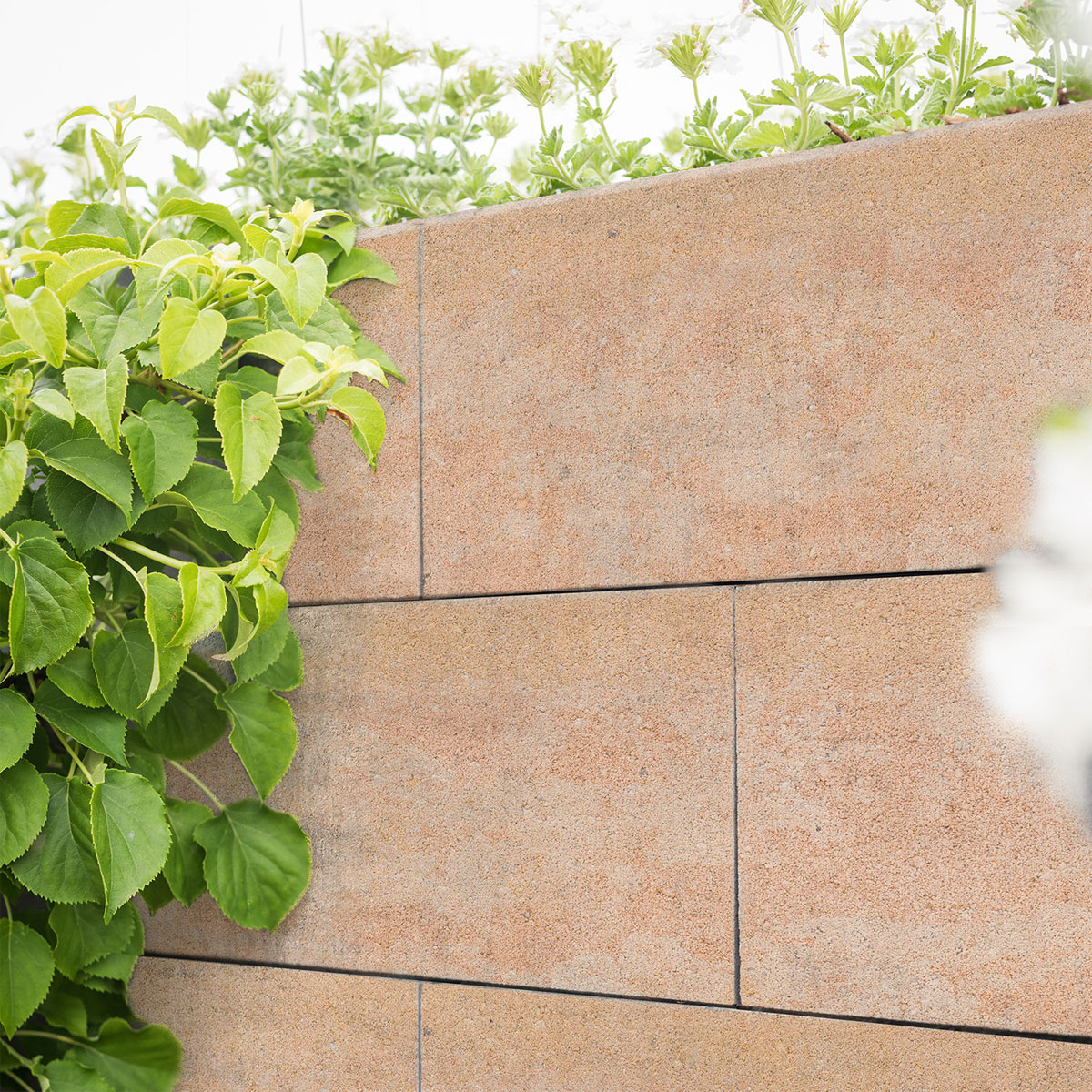 Diephaus  Schalungsstein Sandstein 50 x 24 x 25 cm Bild 3