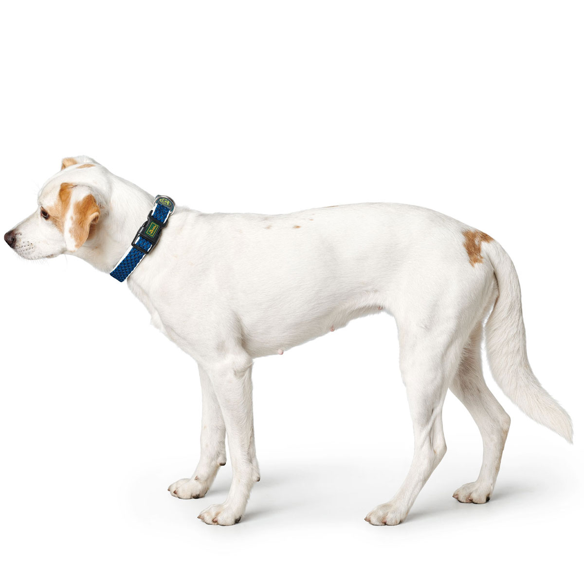 Hunter Halsung Hilo Vario Basic blau Größe M-L Bild 3