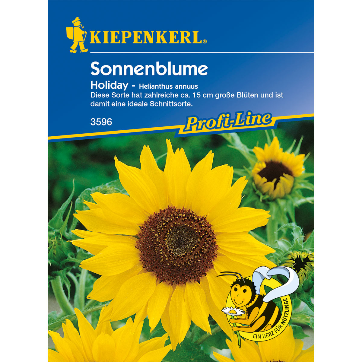 Kiepenkerl Sonnenblume Holiday Bild 1