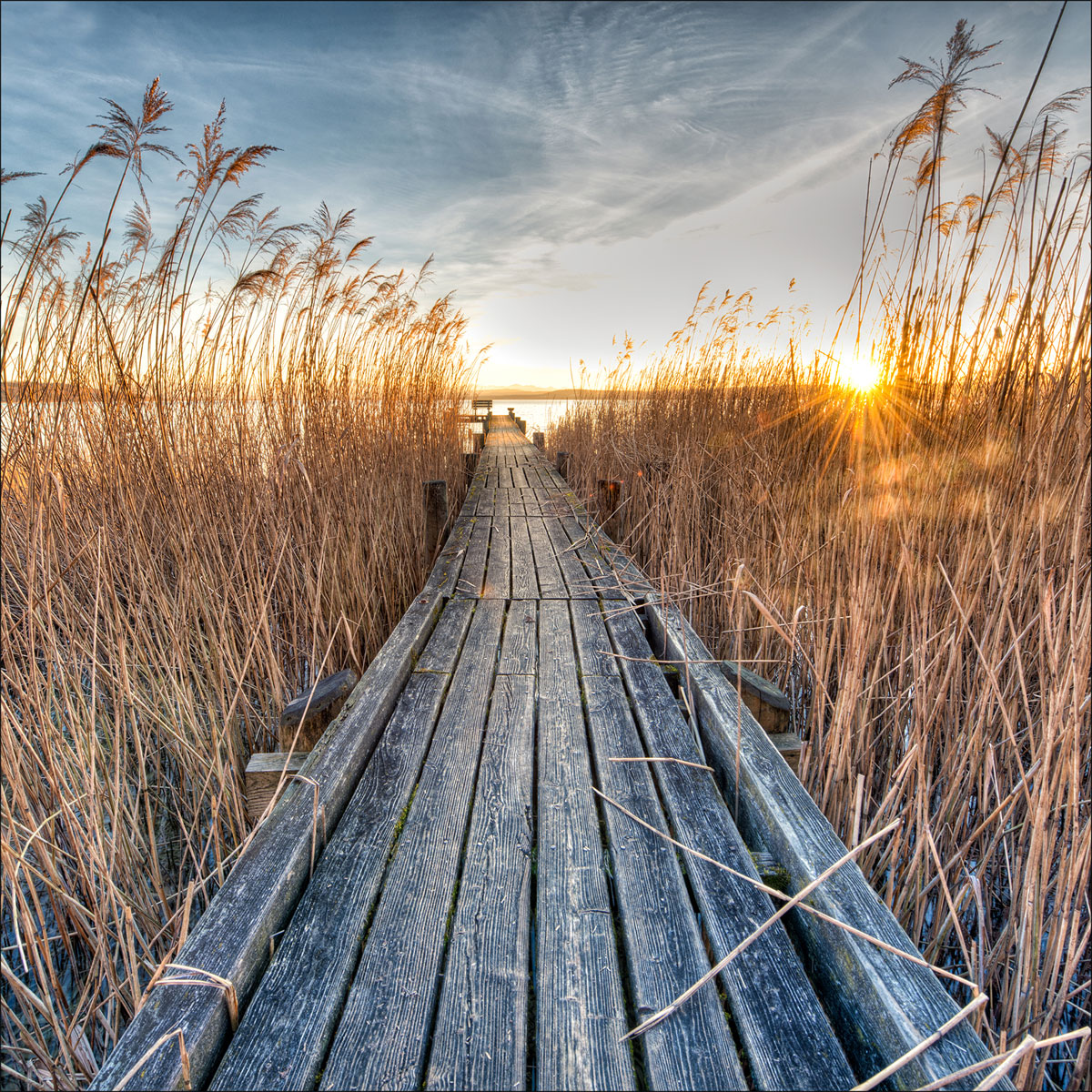 Glas-Art Way To The Sun 50 x 50 Glasbild