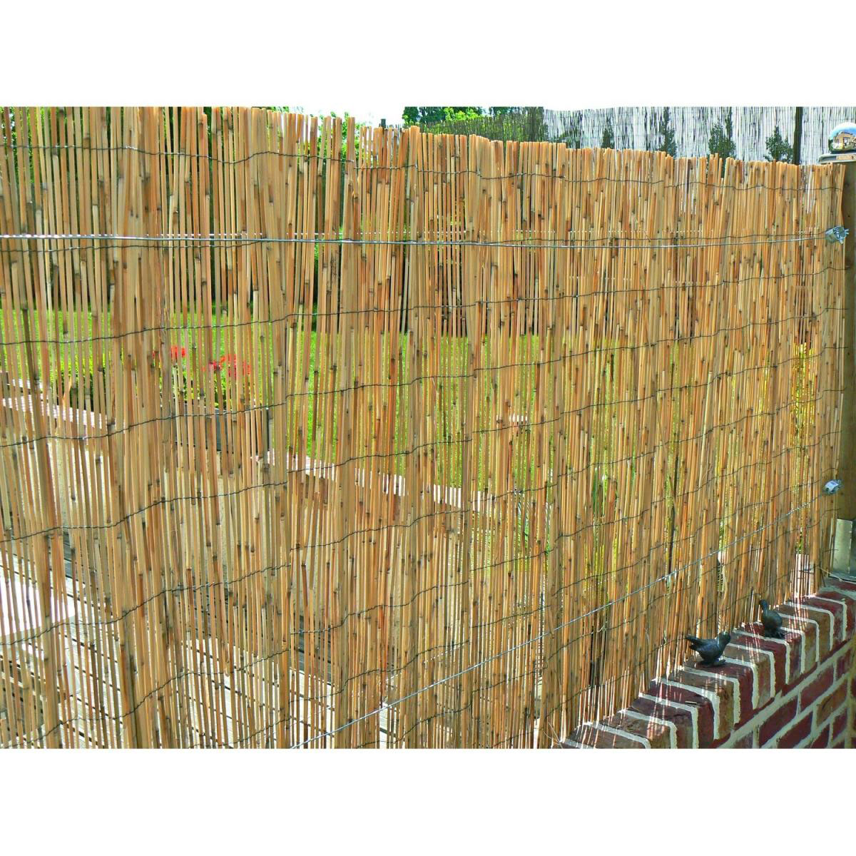 Hartmann Schilfrohrmatte Malaga 180 x 600 cm