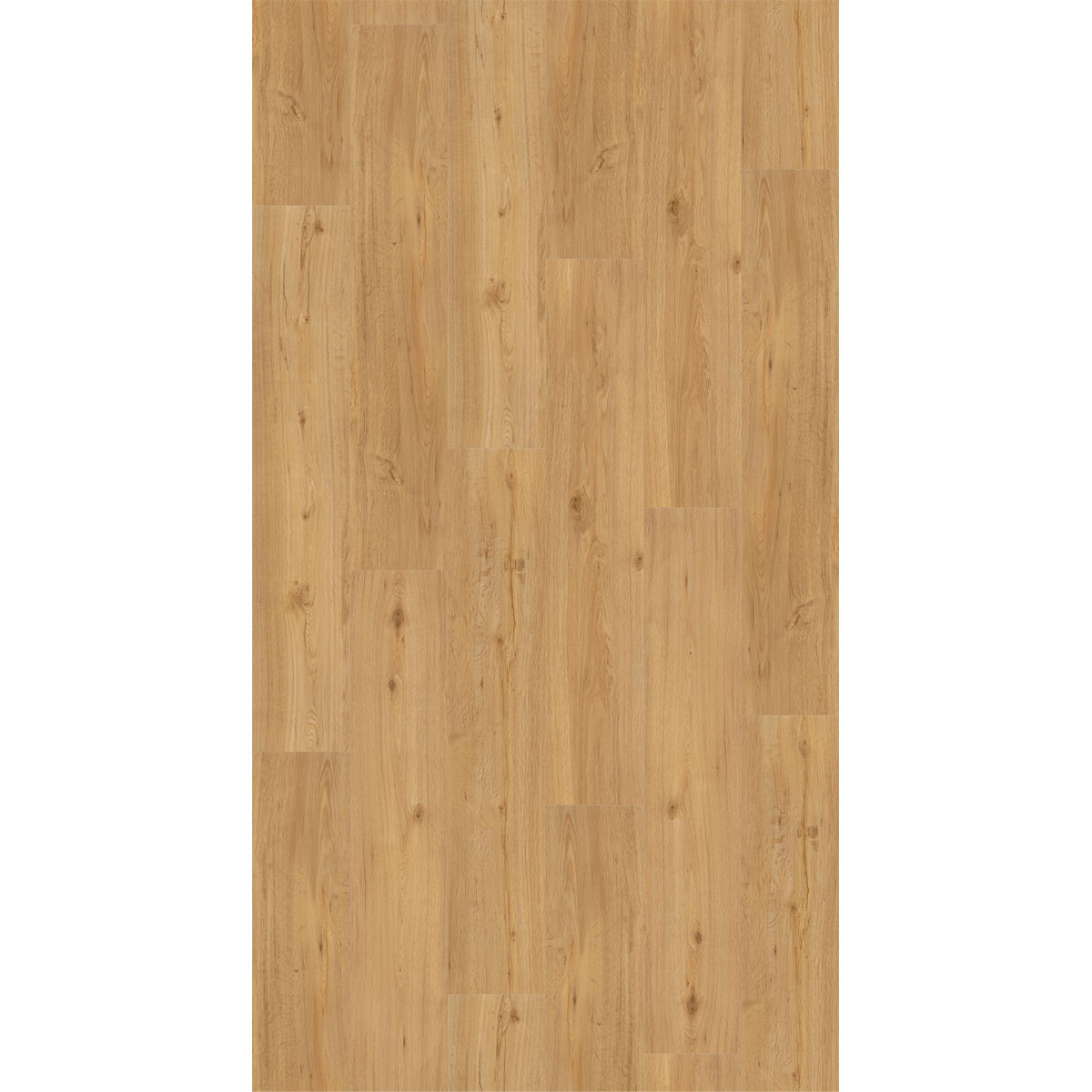 Parador Vinylboden Basic 30 Eiche Natur