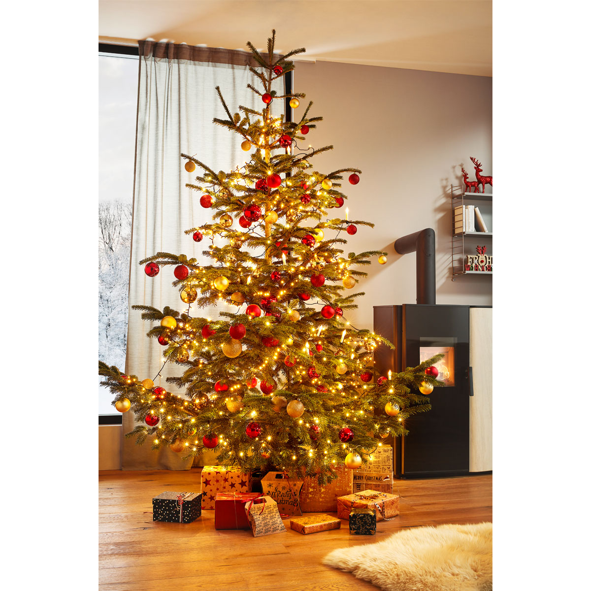 Plantiflor Nordmanntanne Silber-Qualität 200-230 cm Bild 2