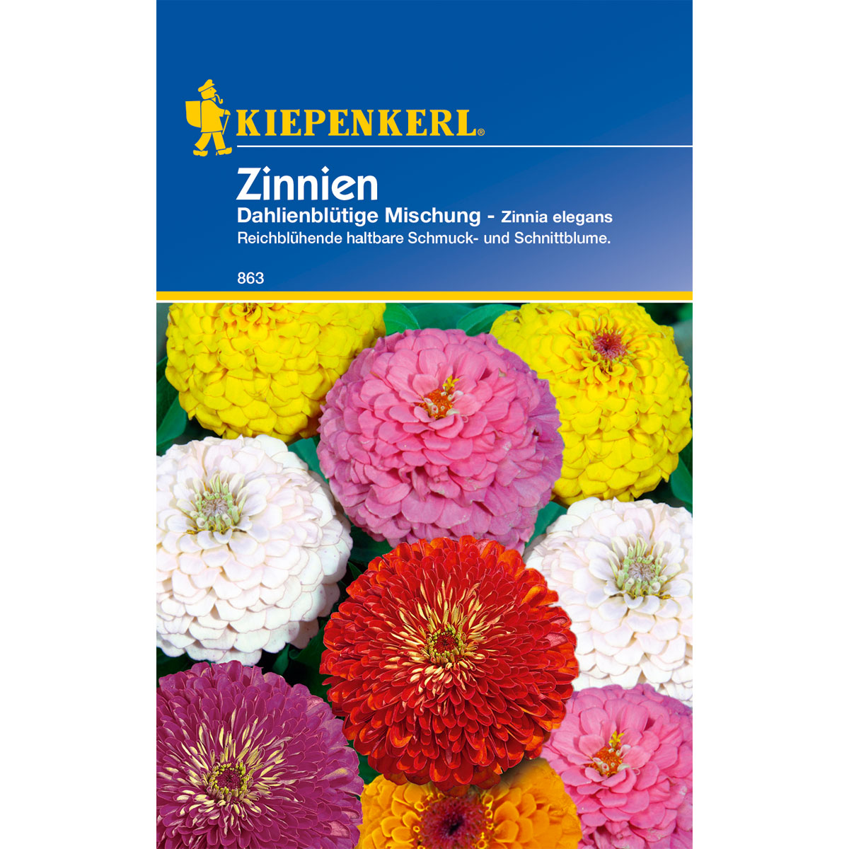 Kiepenkerl Zinnia Dahlienblütige Mischung