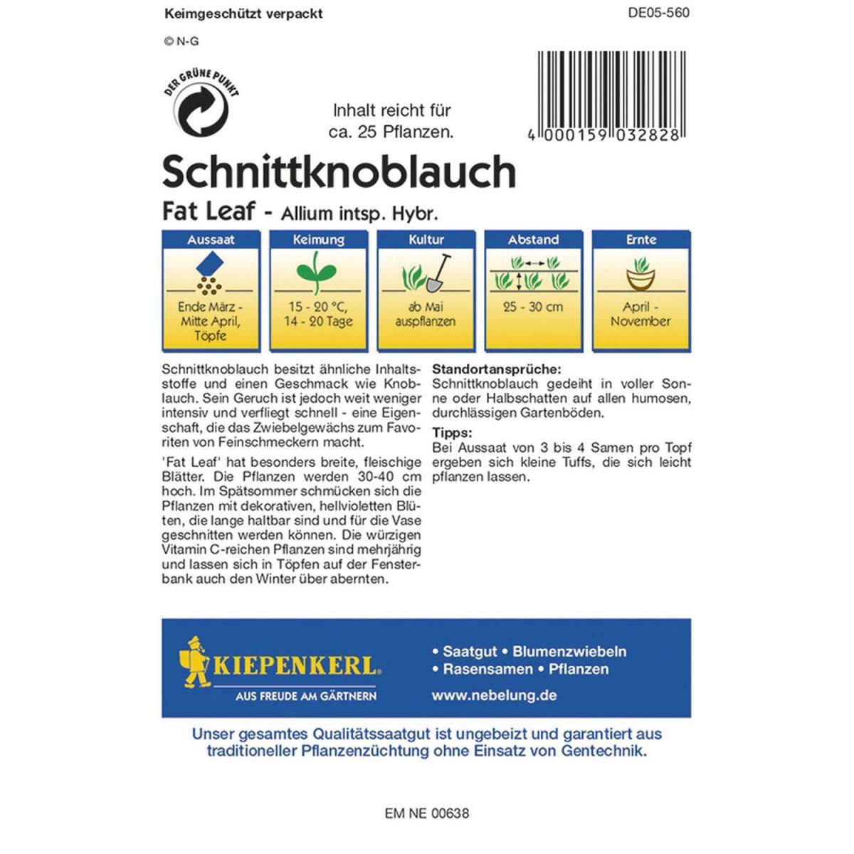 Kiepenkerl Schnittknoblauch Fat Leaf Profi-Line Bild 2