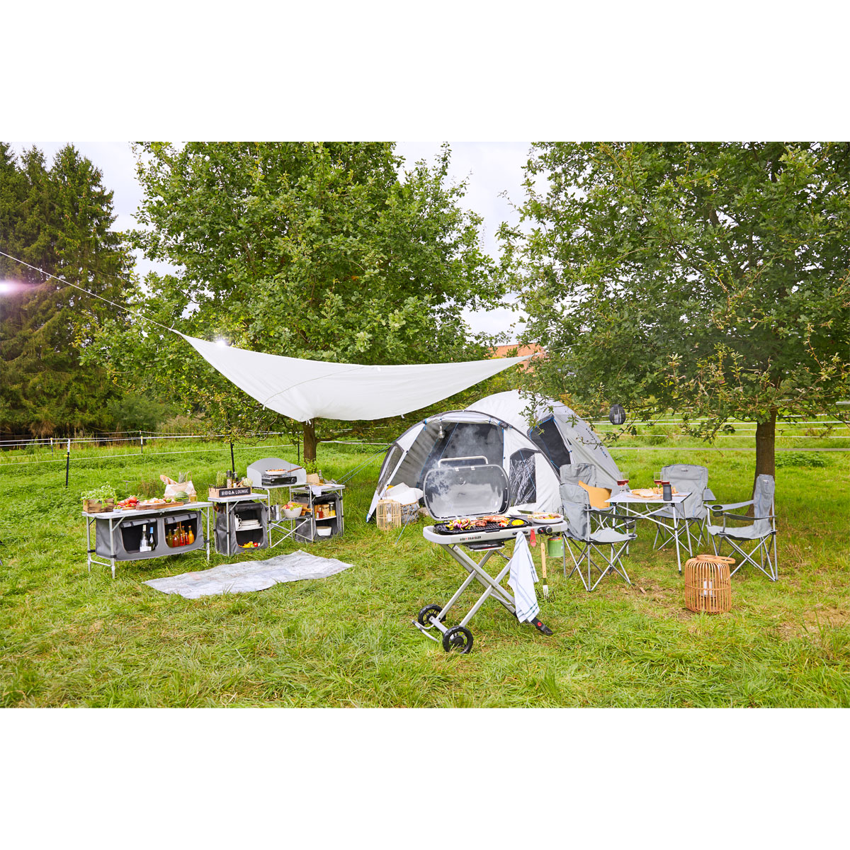 Weber Gasgrill Traveler Bild 4