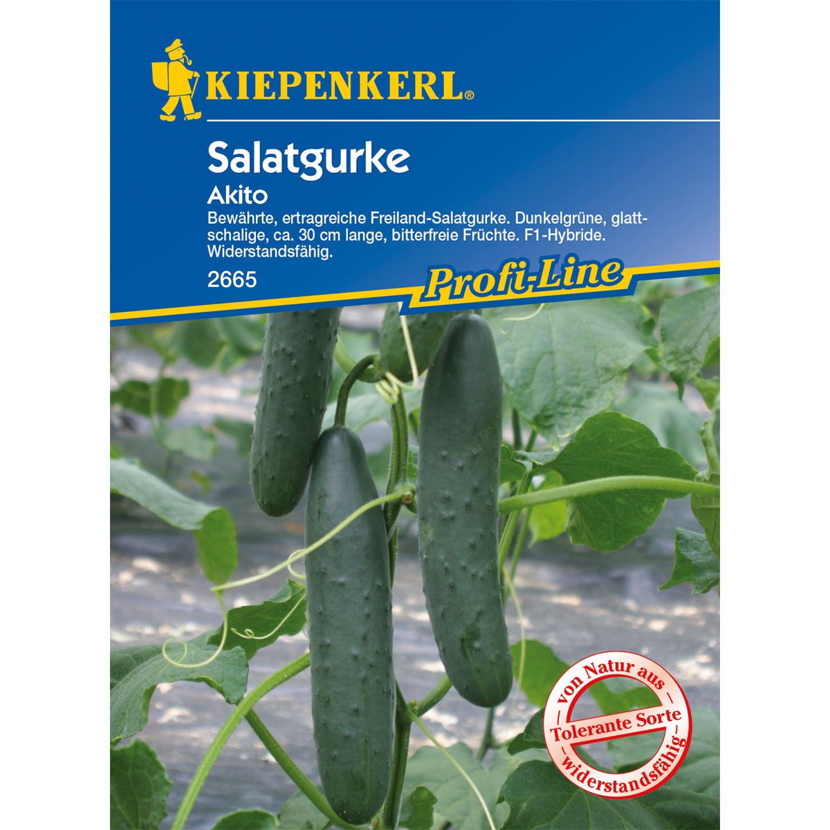 Kiepenkerl Gurke Akito F1 Silcer