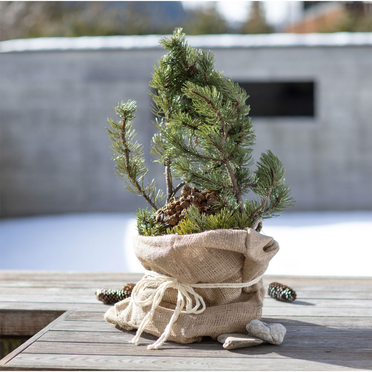 Windhager Jute-Sack natur Öko 80 x 60 cm Bild 7