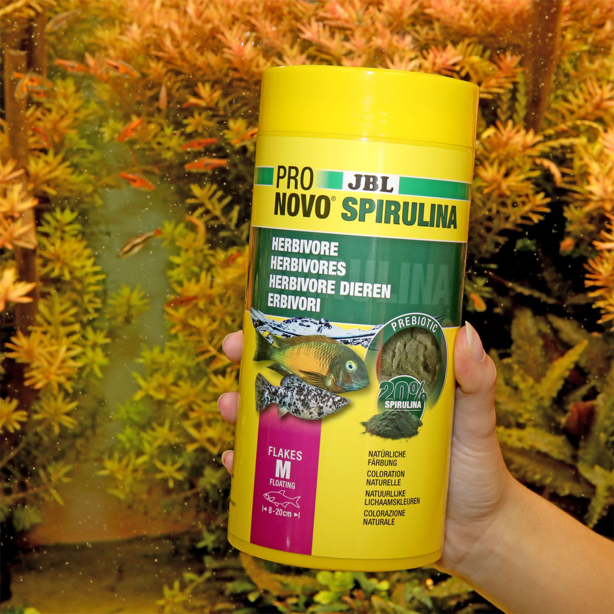 JBL  PRONOVO SPIRULINA FLAKES M 1000ml Bild 3