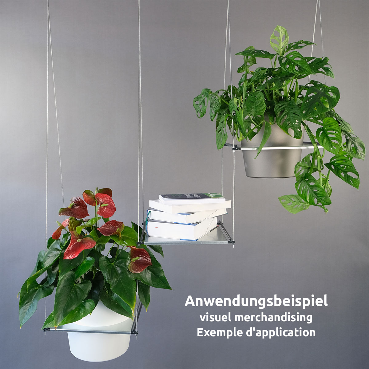 Hängegarten Filo Starter Set Bild 5