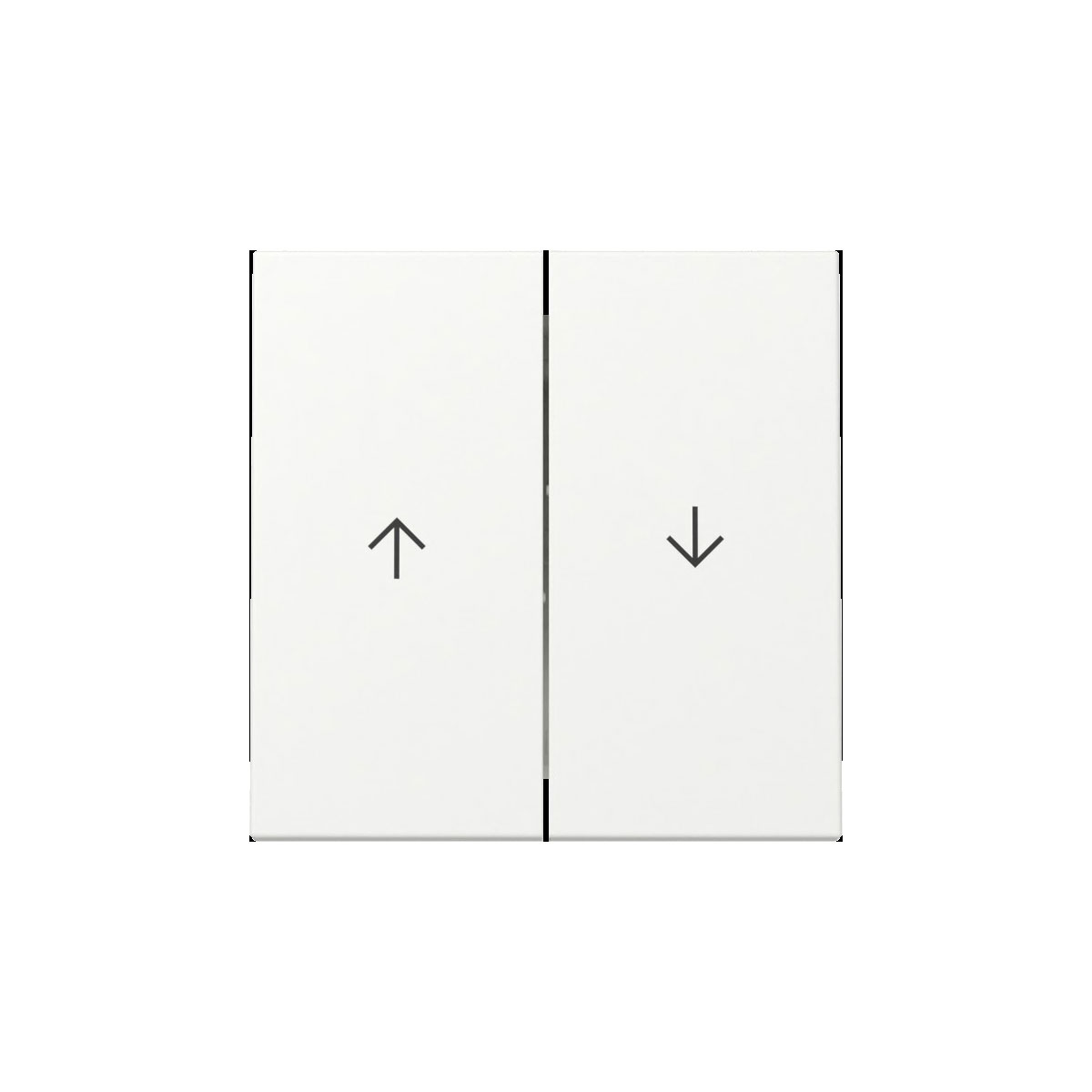 Gira  Wippe 2f Pfeil System 55 Reinweiß m