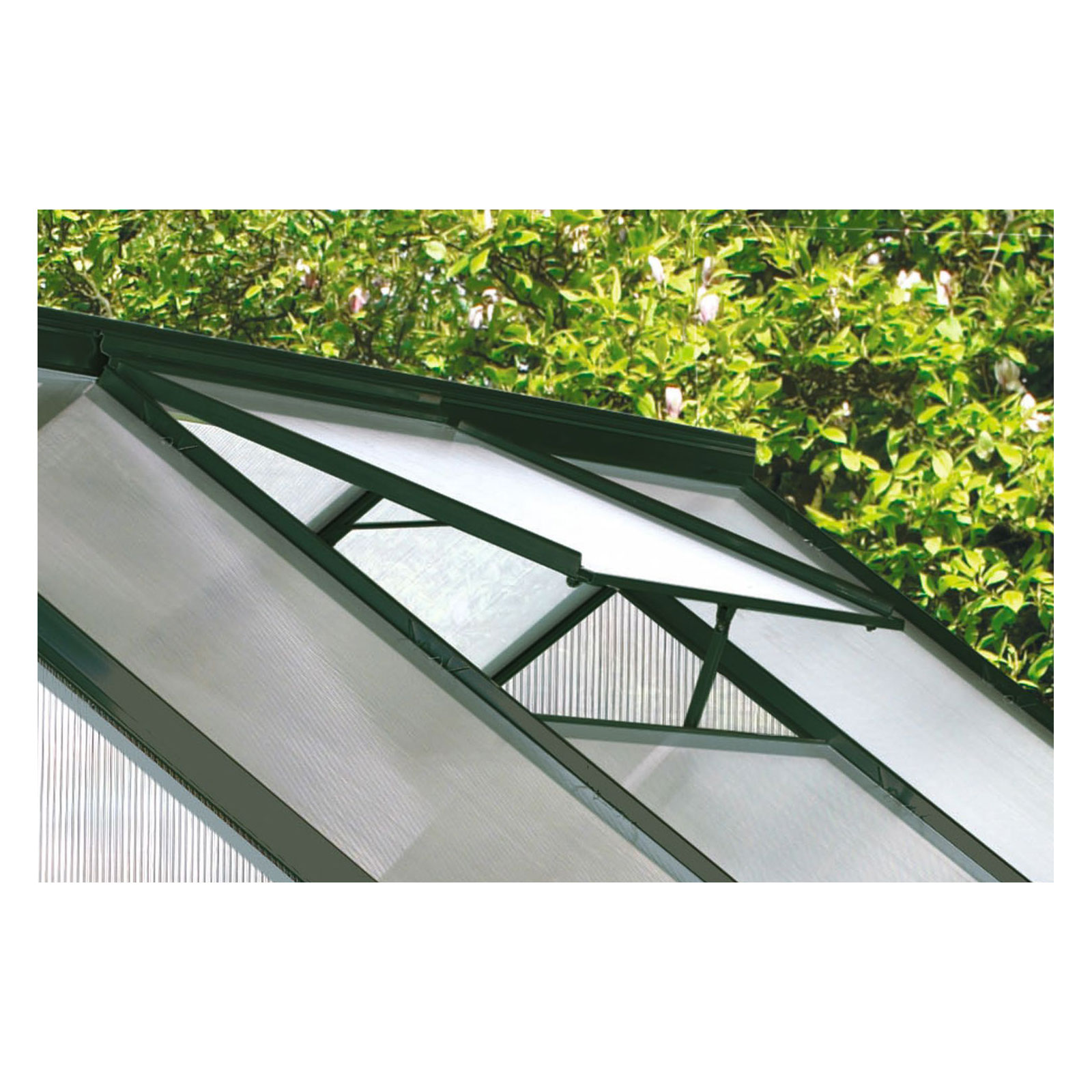 Vitavia Alu-Dachfenster grün für Calypso