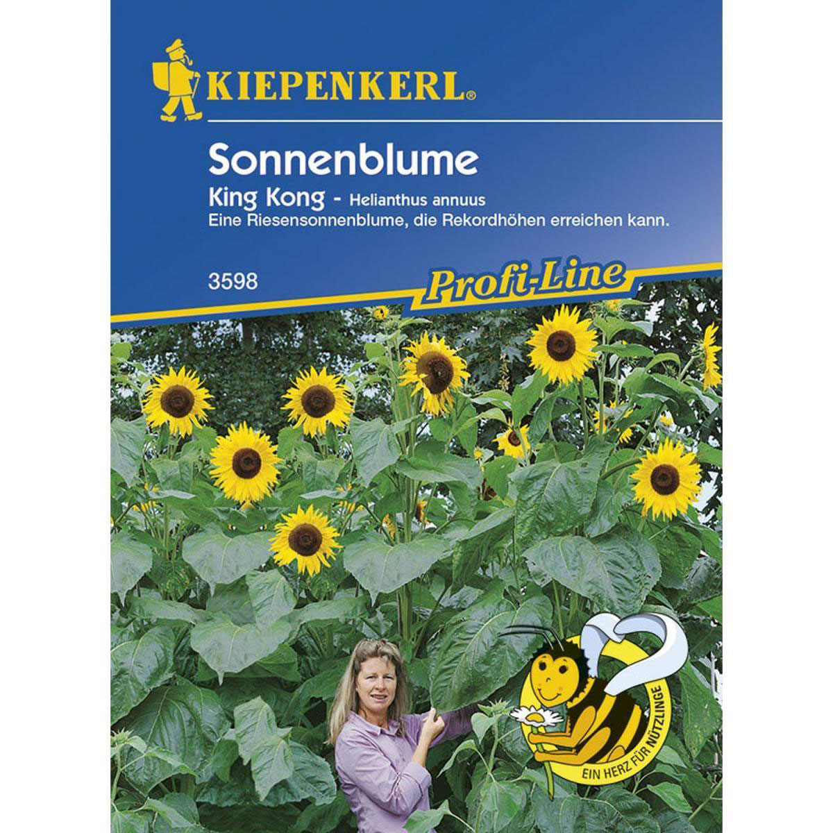 Kiepenkerl Sonnenblume King Kong Bild 1