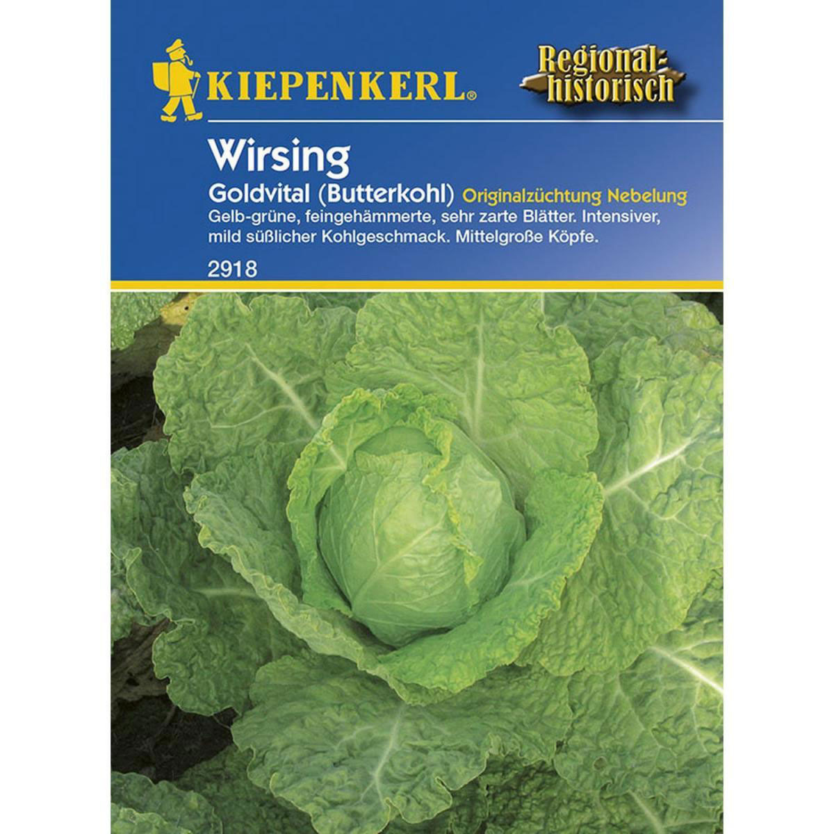 Kiepenkerl Butterkohl Wirsing Goldvital