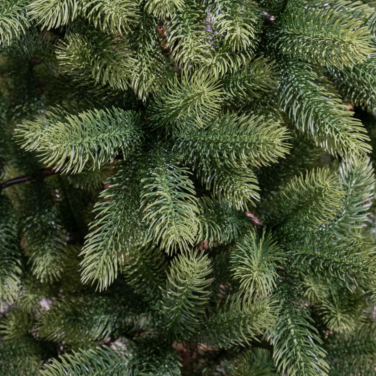 Nagoya Weihnachtsbaum grün 180x108 cm Bild 2