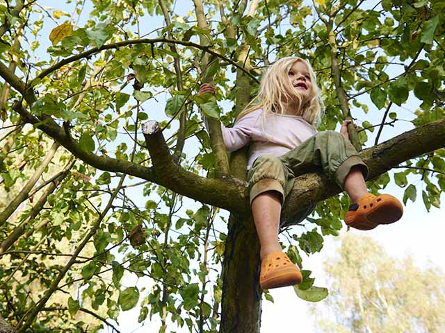 Kindersicherer Garten Kindersicherer Garten