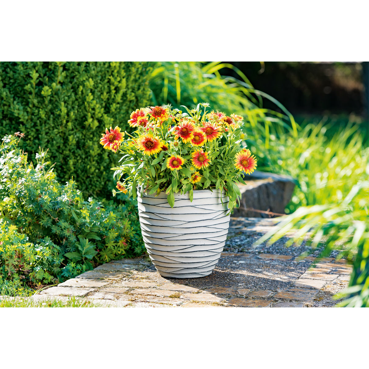 Haveson Pflanzgefäß Big Groove rund Durchmesser 28 x 27 cm Light cement Bild 3