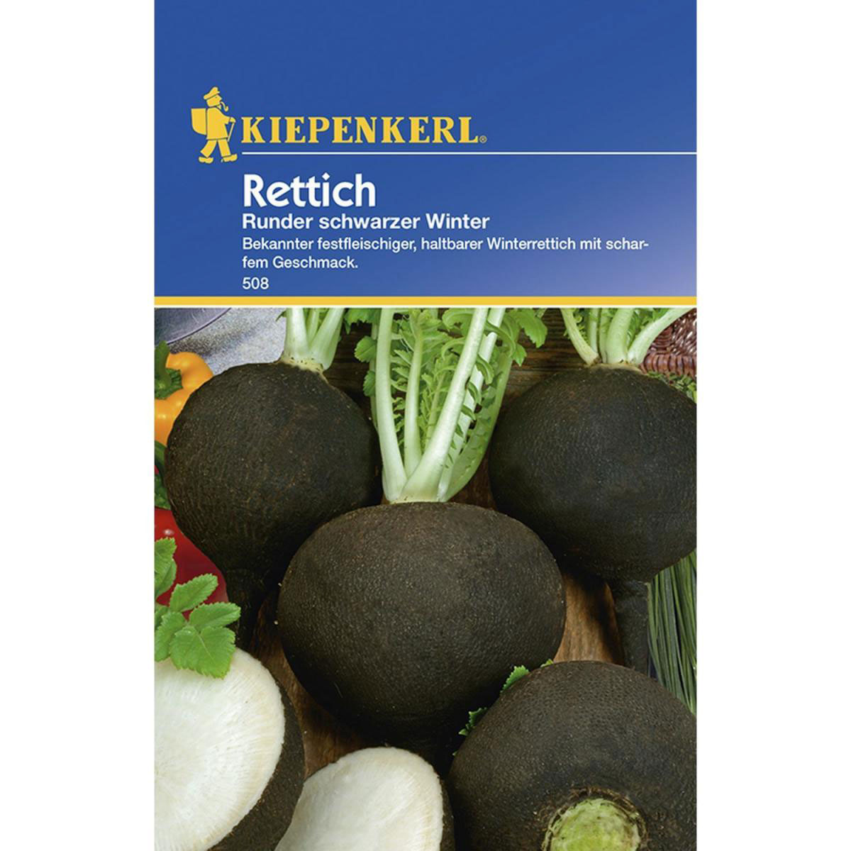 Kiepenkerl Rettich runder schwarzer Winter
