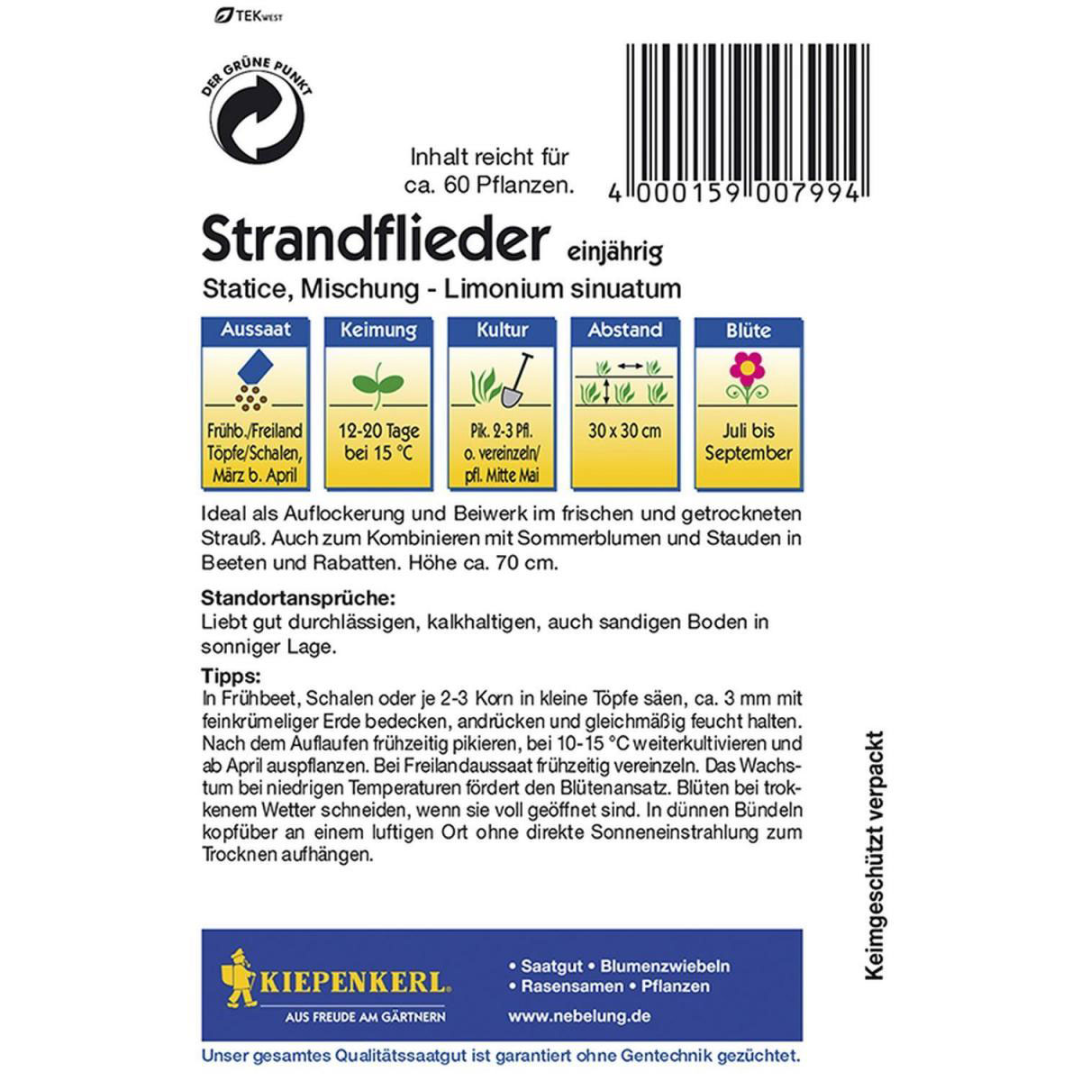 Kiepenkerl Statice Mischung Bild 2