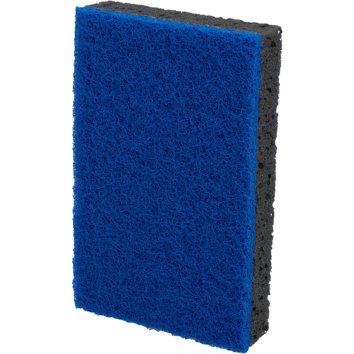 Nigrin  Felgenschwamm