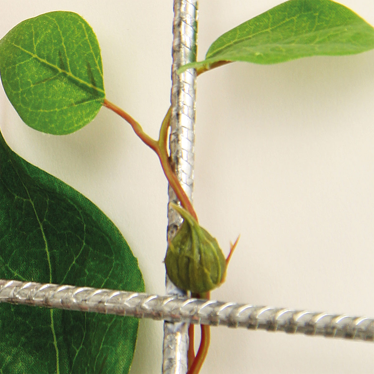 Spalier 3-strebig Bild 3