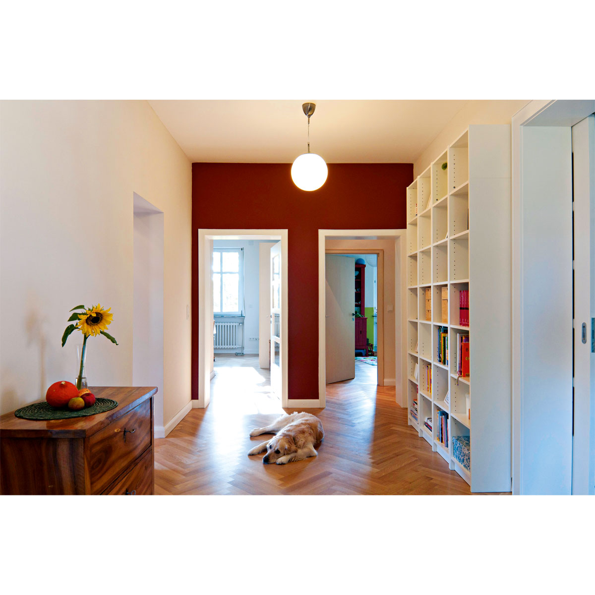 Knauf Fertigputzgips Goldband 30 kg Bild 3