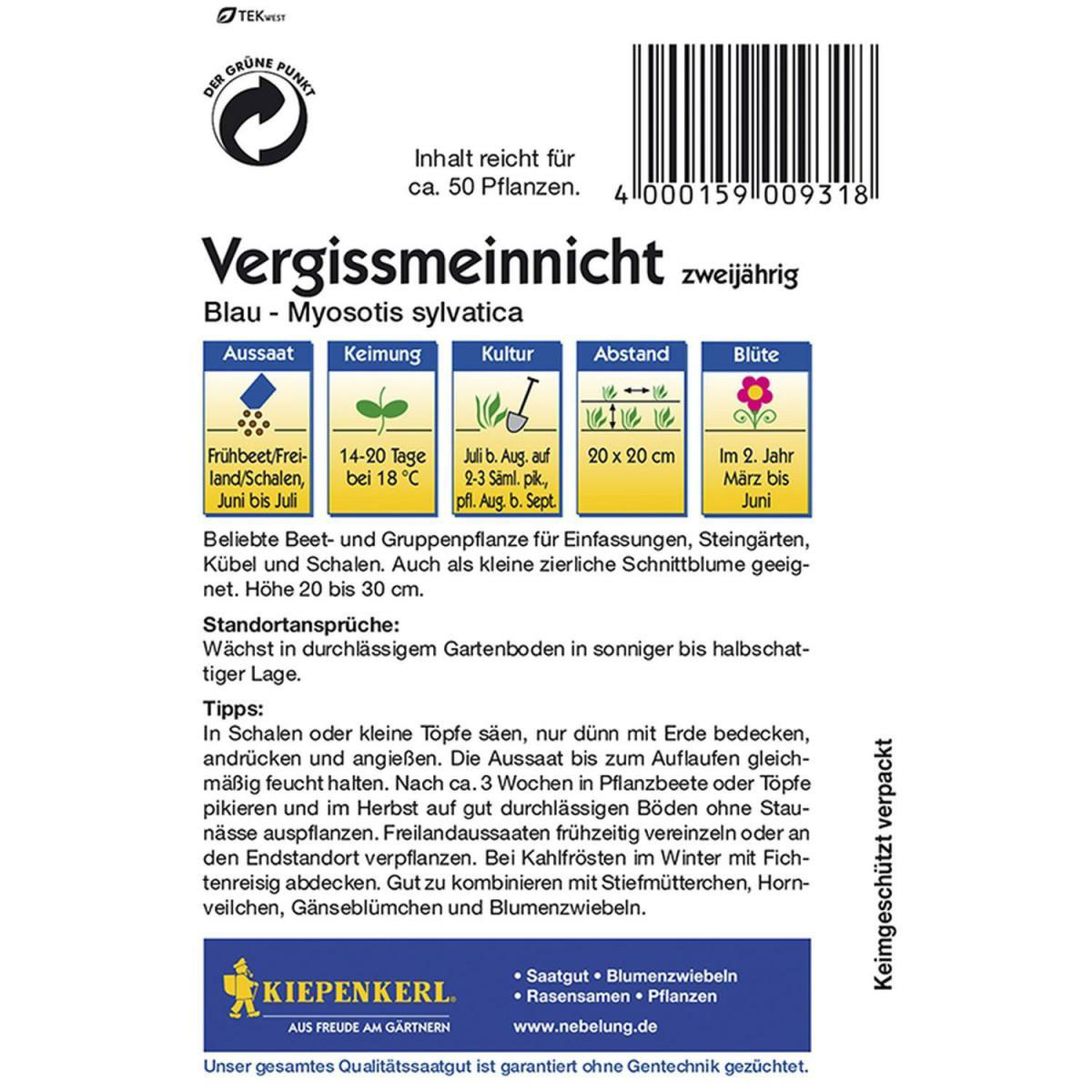 Kiepenkerl Vergissmeinnicht blau Bild 2