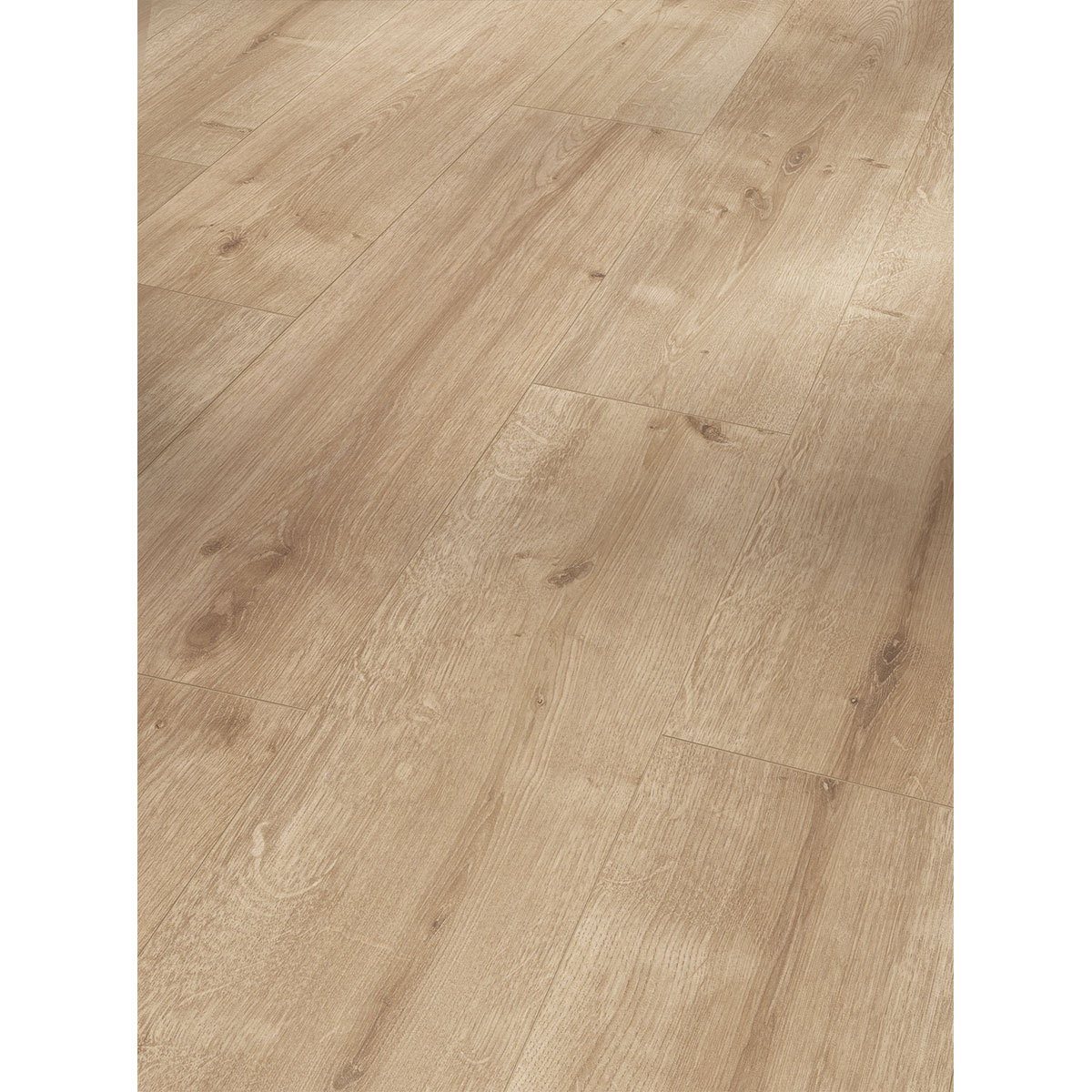 Parador Laminatboden „Basic 600“, Eiche geschliffen, Seidenmatte Struktur, 24,3x128,5 cm