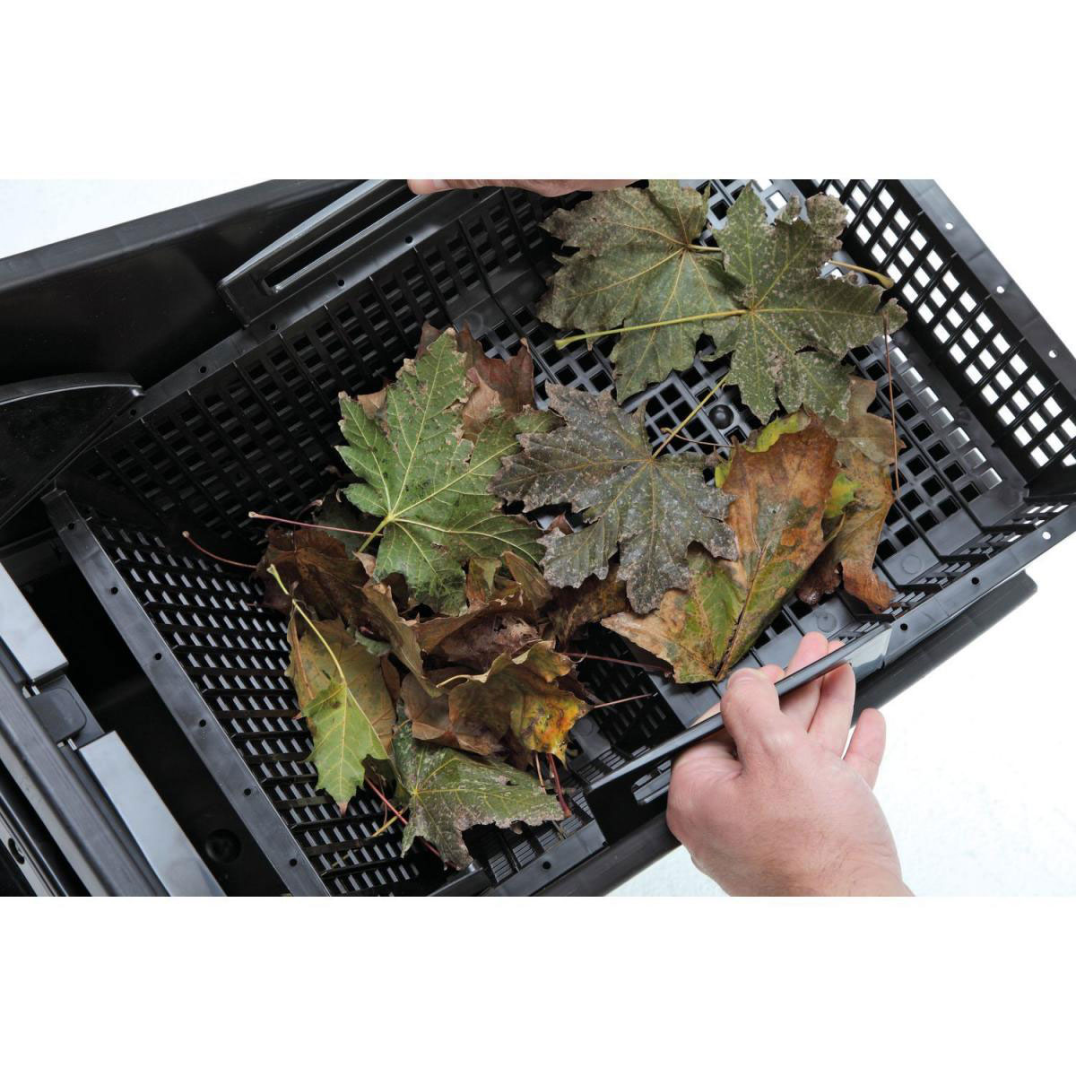 Oase Skimmer Biosys Bild 2