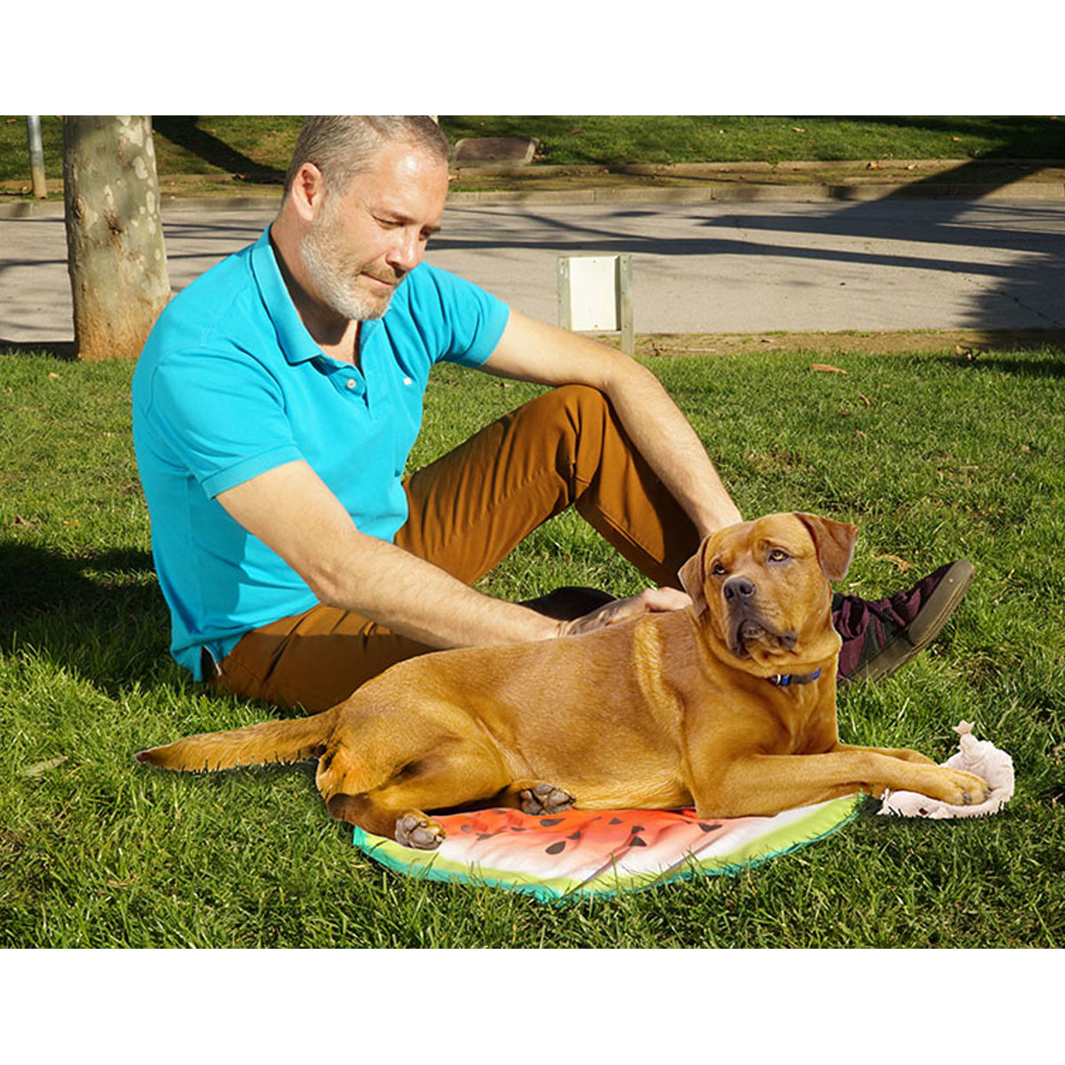 Starlyf Kühlmatte Pet Cooling Mat für Hunde Bild 6