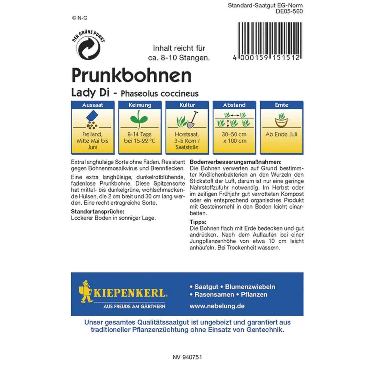 Kiepenkerl Prunkbohnen Lady Di Bild 2