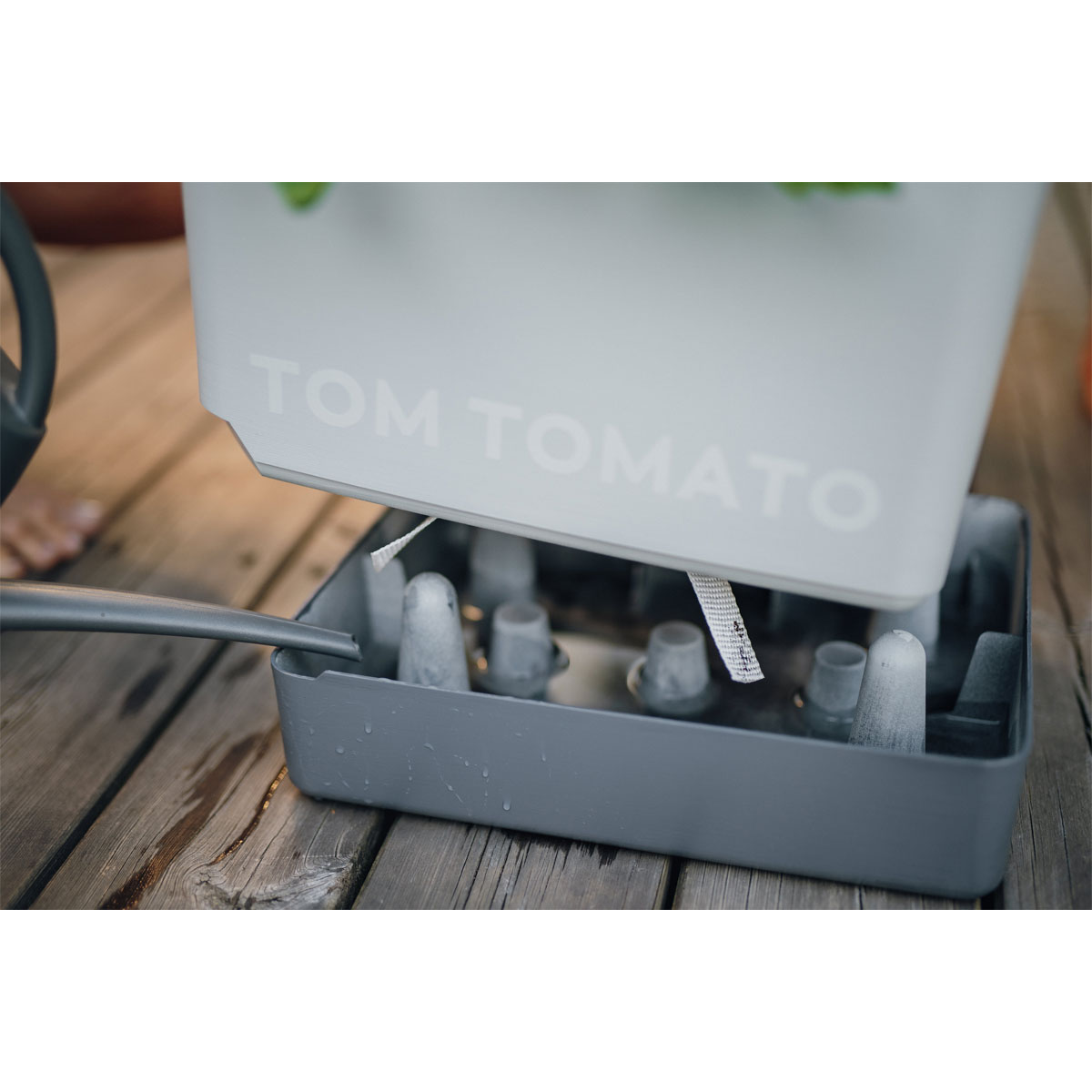 Anzuchtsgefäß Tom Tomato hellgrau