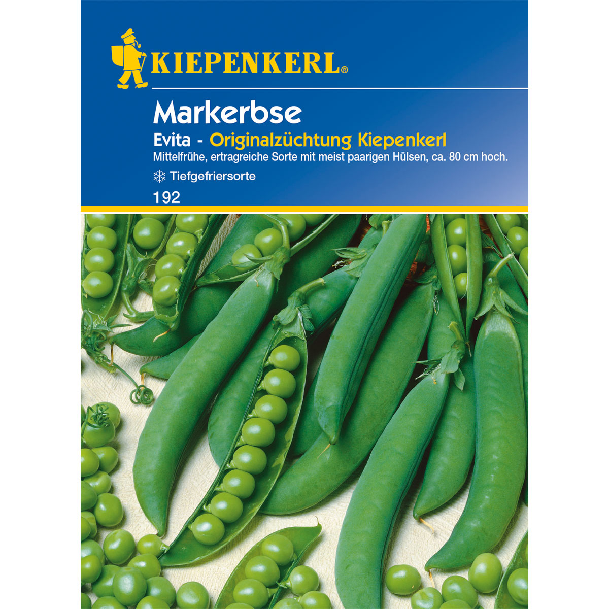 Kiepenkerl Markerbse Evita Bild 1