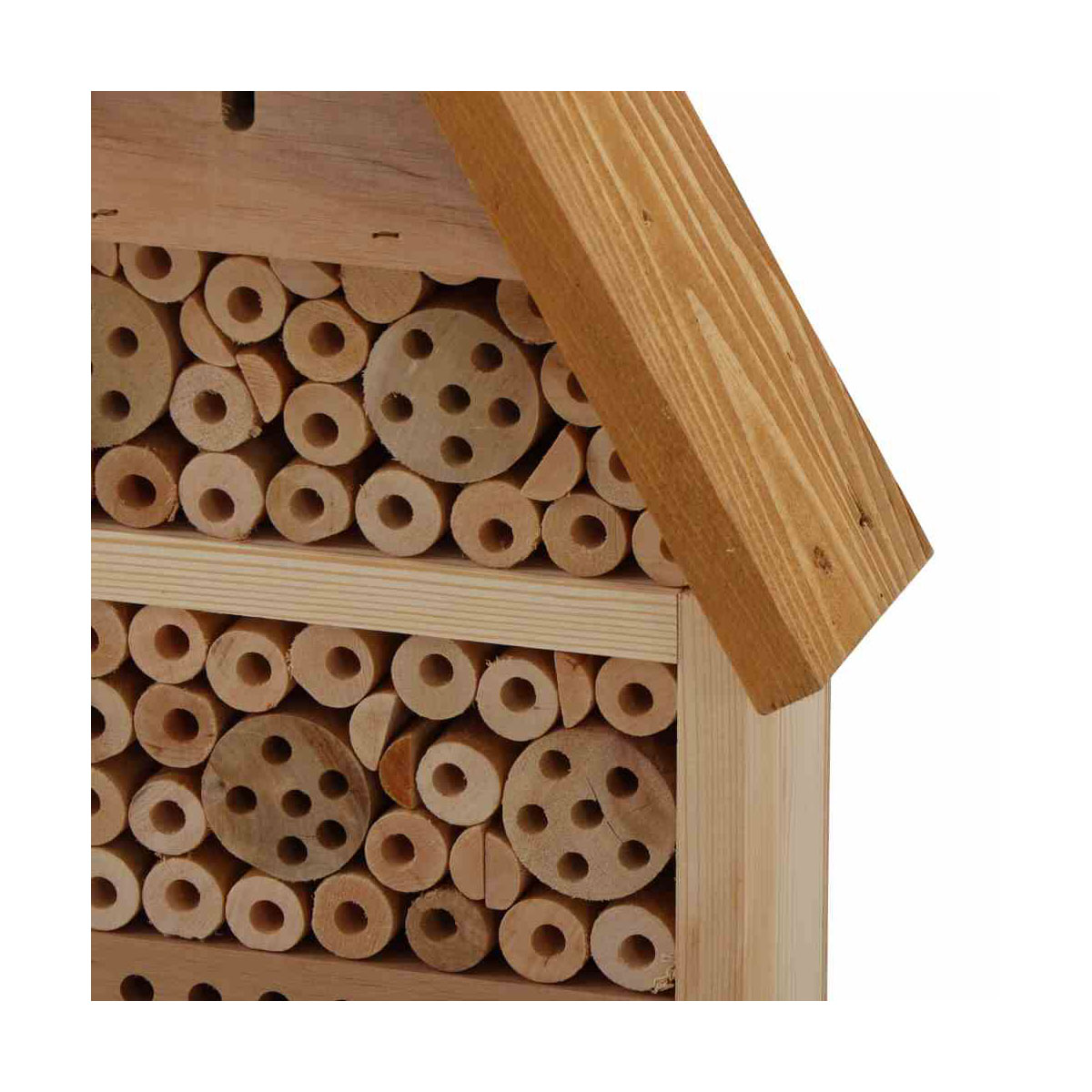 Siena Garden  Bienen- und Schmetterlingshaus Prag Bild 4