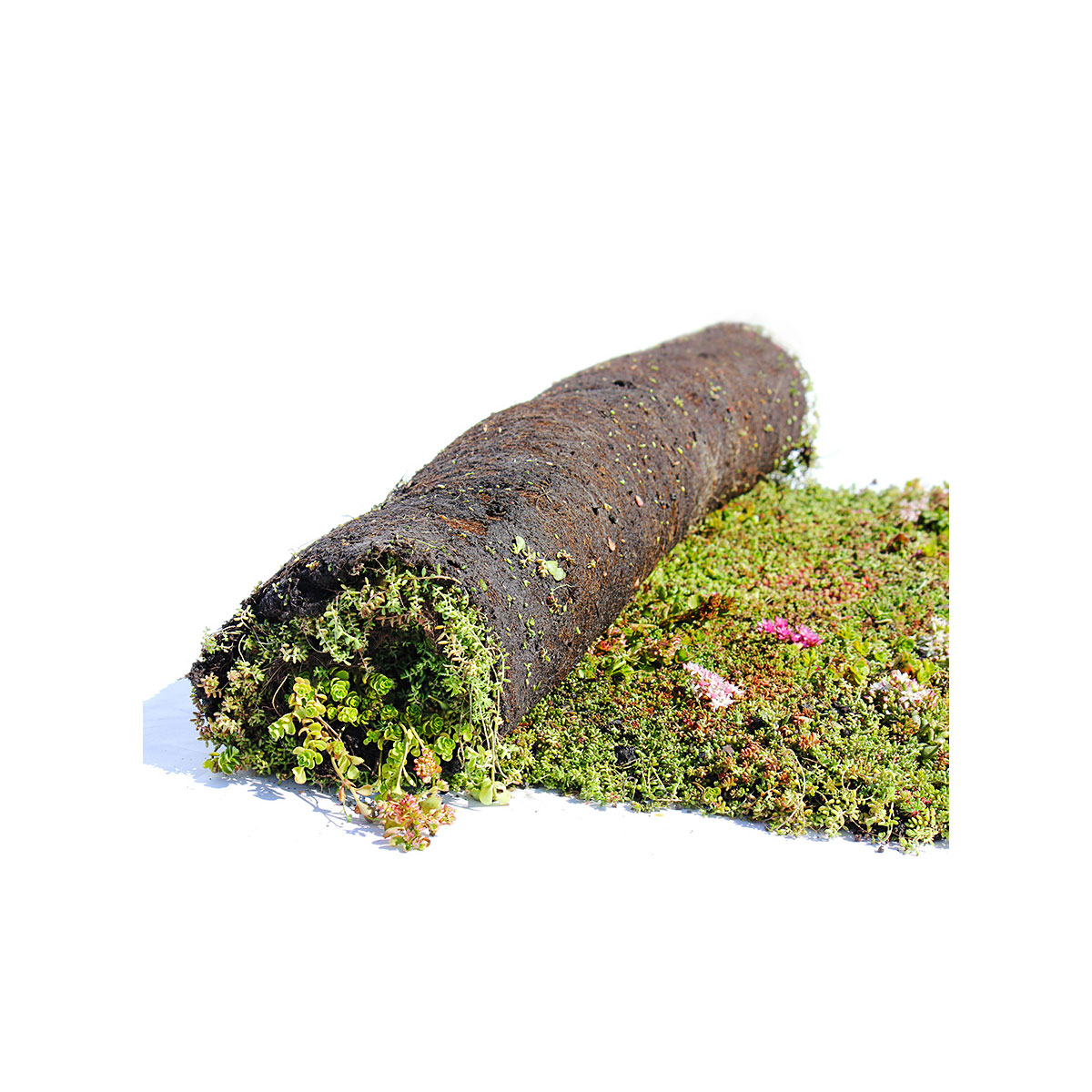 AboutGreen Gründachsystem Flachdach bis 5 Dachneigung 1 m²