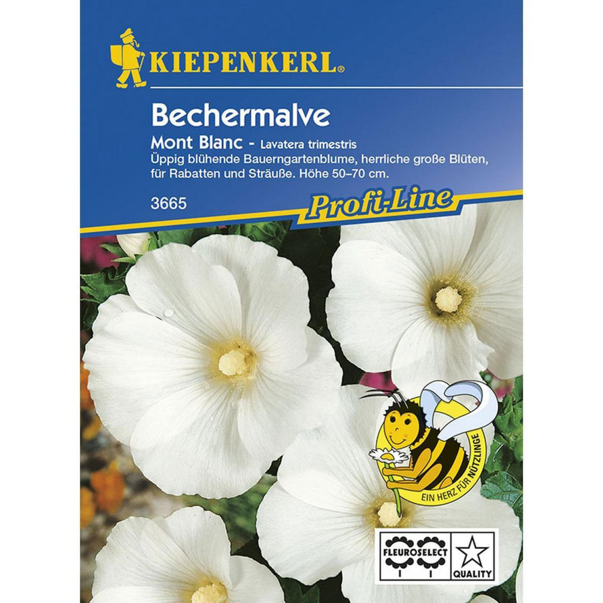 Kiepenkerl Bechermalve Mont Blanc weiß Profi-Line