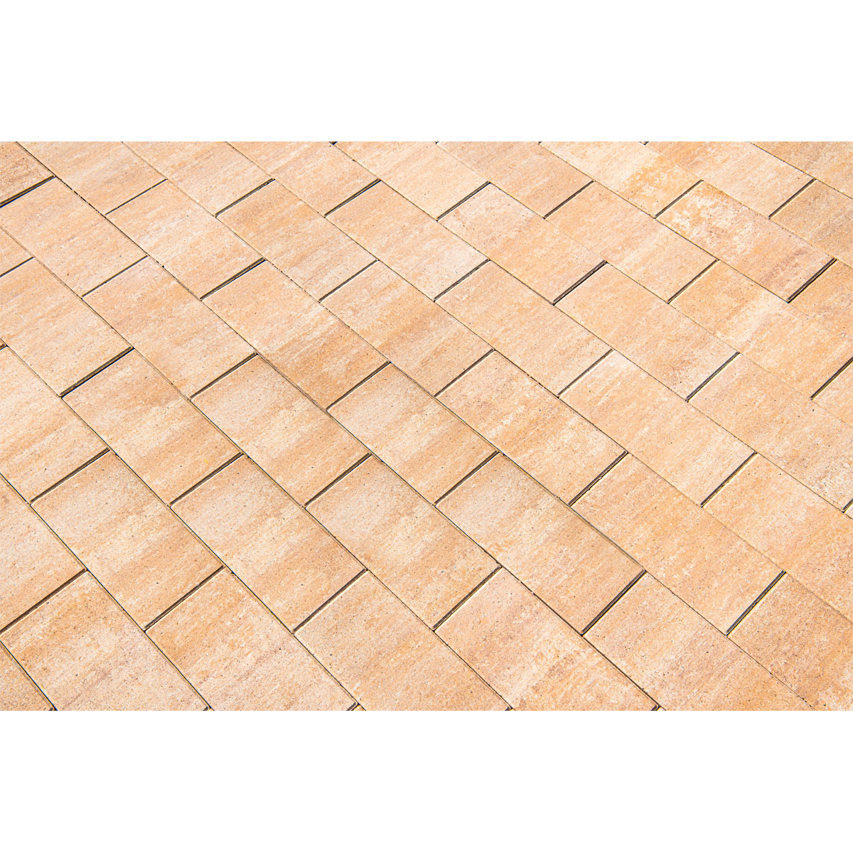 Terrassenplatte No. 1 Light Sandstein ca. 40 x 20 cm Bild 3