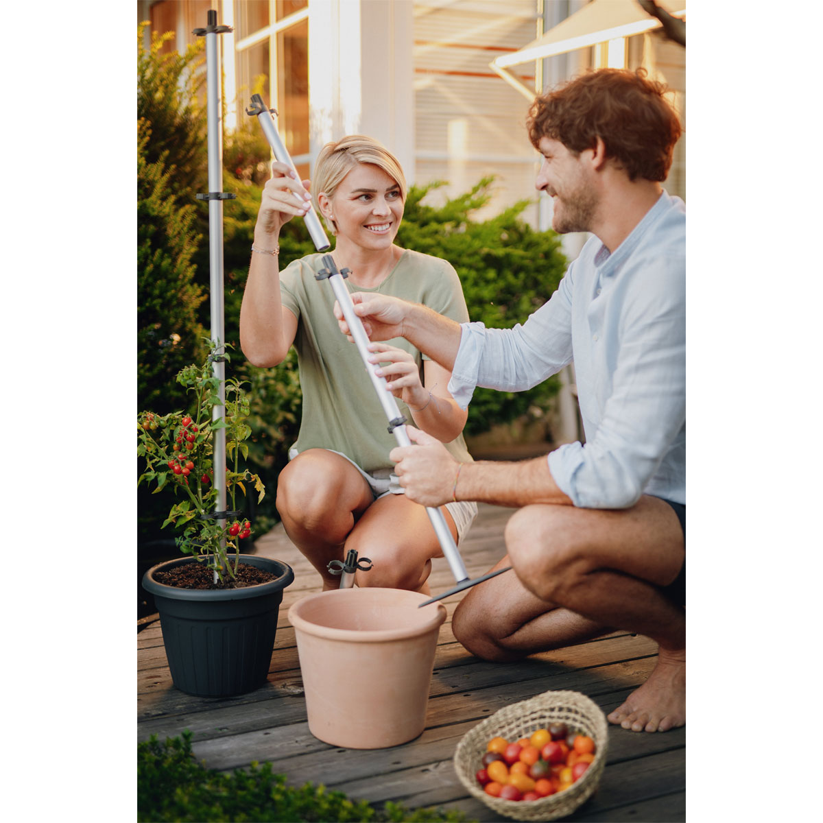 Tomatenrankhilfe Tomato Buddy Bild 4