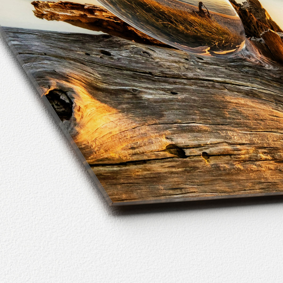 Glas-Art Drop On Wood 50 x 50 Glasbild Bild 2