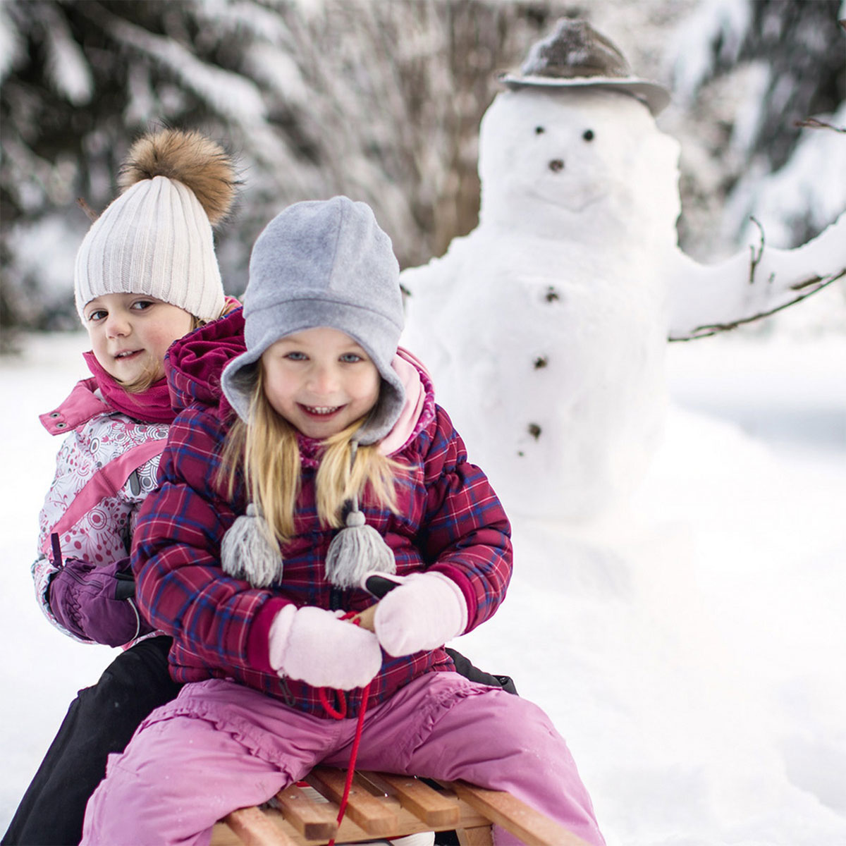 Pinolino Hörner-Schlitten Bild 2