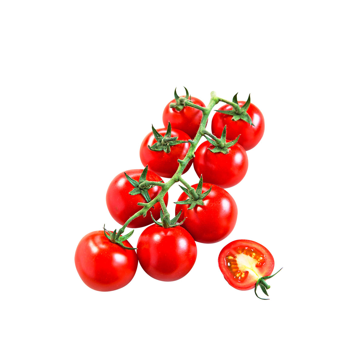 Plantiflor  Cocktailtomate plastikfrei Topf Durchmesser 12 cm