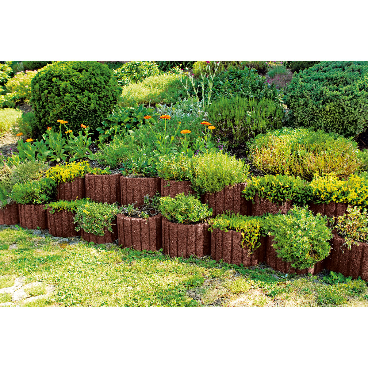 Lusit  Pflanzring groß Erdbraun Bild 3