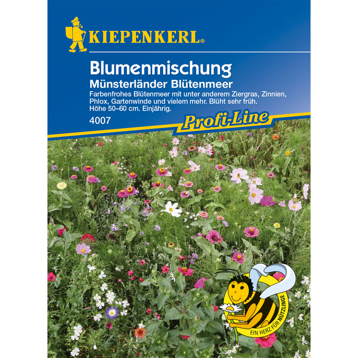Kiepenkerl Blumenmischung Münsterländer Blütenmeer Bild 1