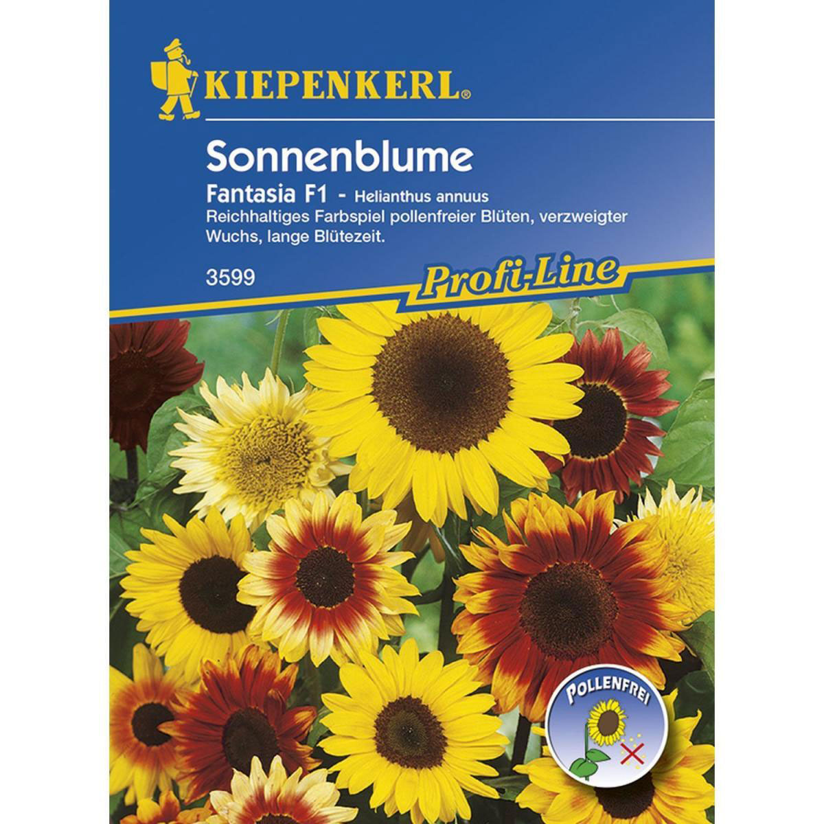 Kiepenkerl Sonnenblume Fantasia Mix Profi-Line