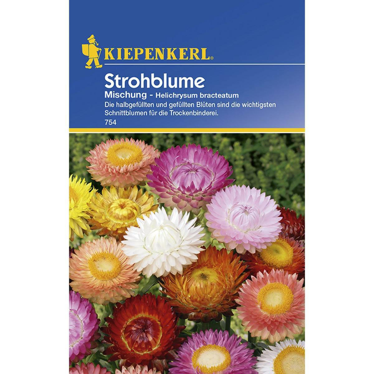Kiepenkerl Strohblumen Mischung