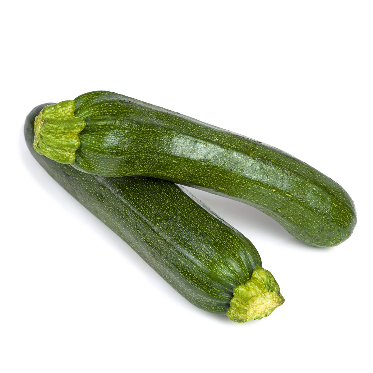 Plantiflor  Zucchini Pflanze Topf Durchmesser 12 cm Bild 2