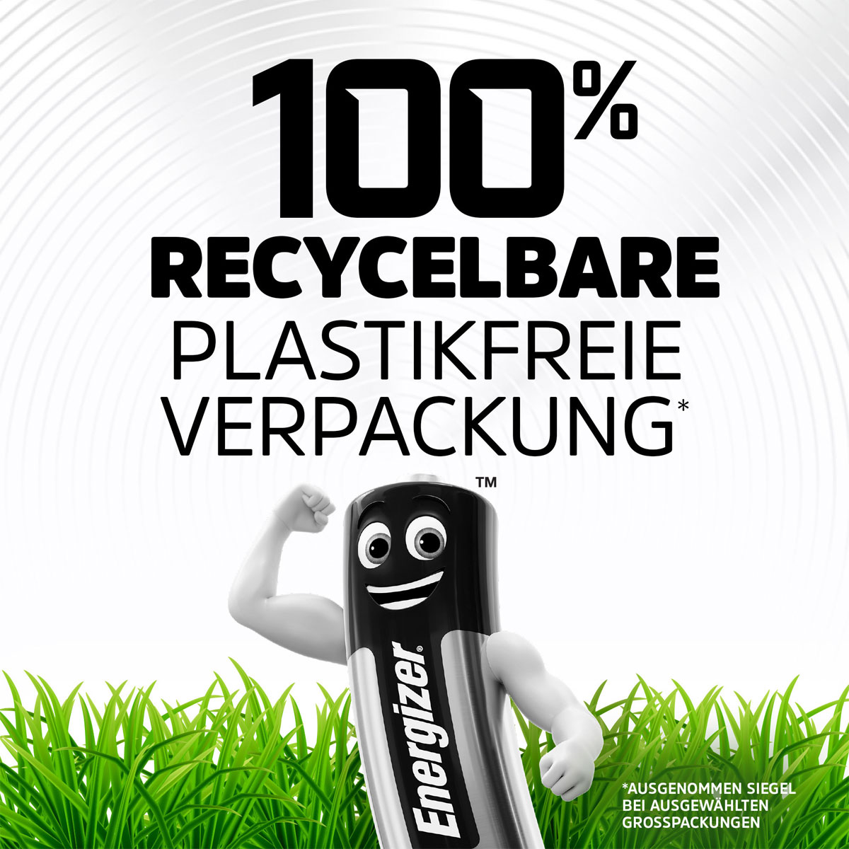 Energizer AAA-Batterie Alkaline Power Maxi-Pack 24 Stk. Bild 7
