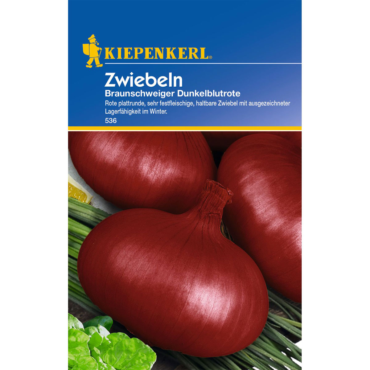 Kiepenkerl Zwiebeln Braunschweiger dunkelblutrot Bild 1