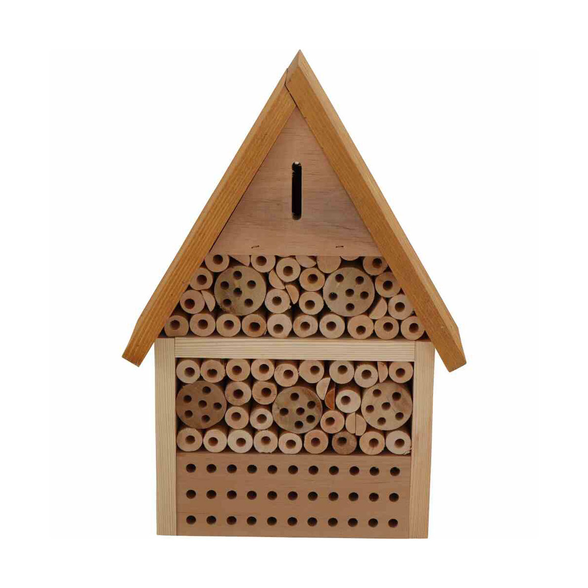 Siena Garden  Bienen- und Schmetterlingshaus Prag Bild 2