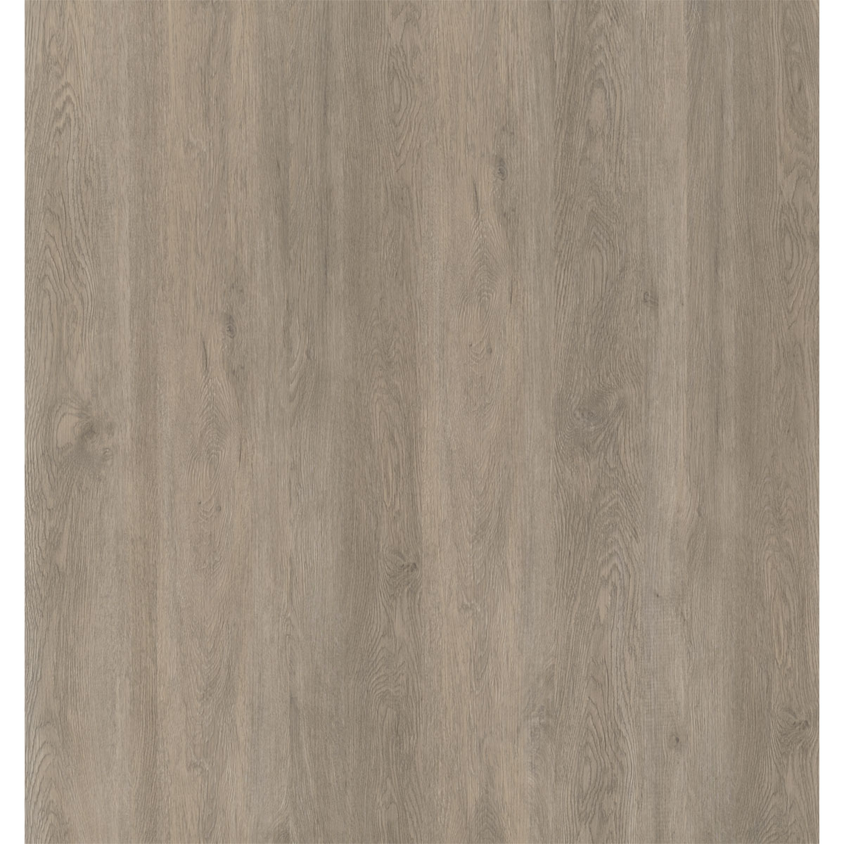 Specht Vinylboden Ambiente Antarctica 1210 x 190 x 5 mm
